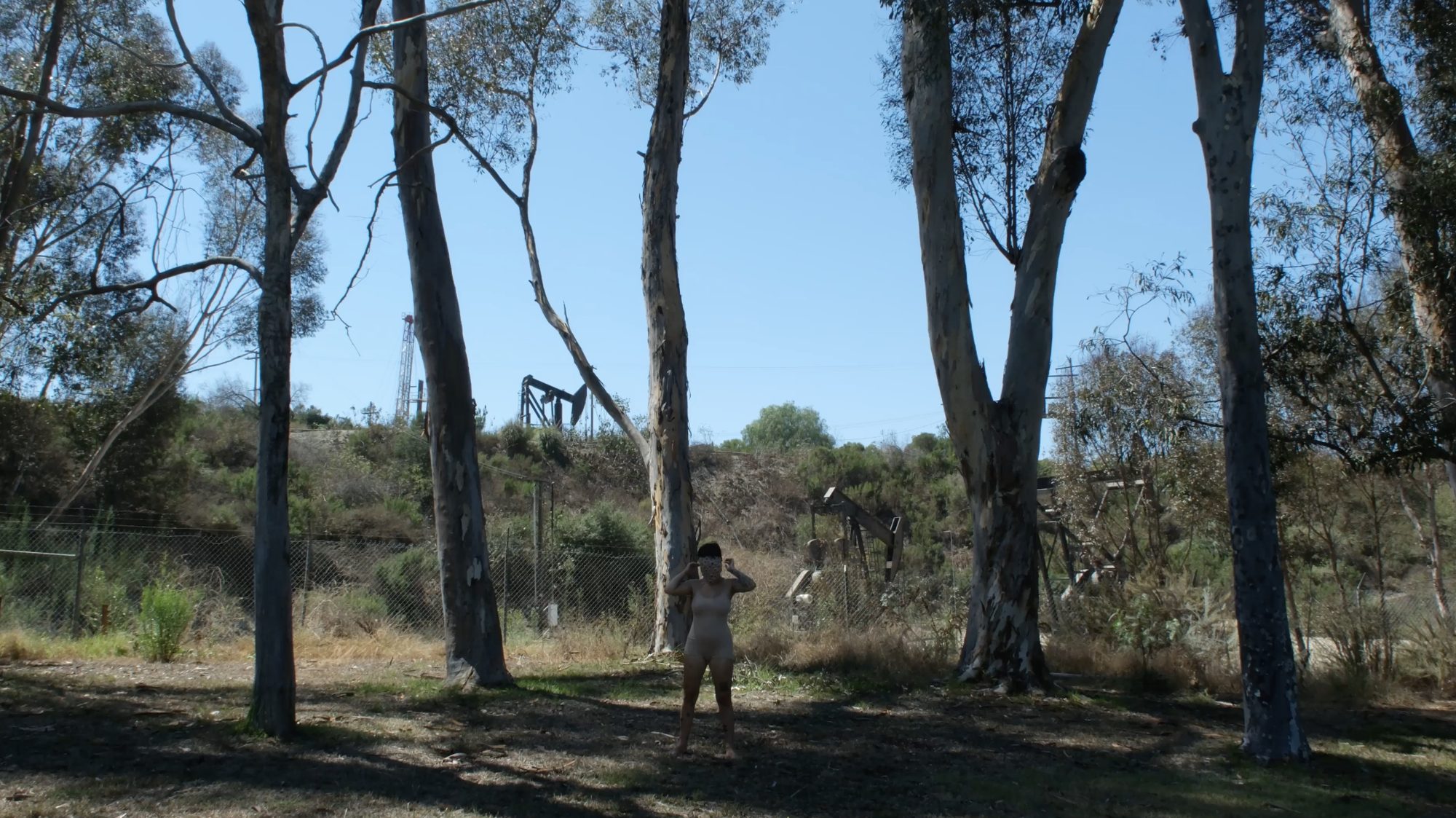 i dance for the trees